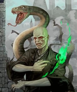 Voldemort And The Snake paint by numbers