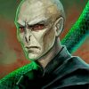 Voldemort Illustration paint by numbers