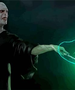 Voldemort paint by numbers