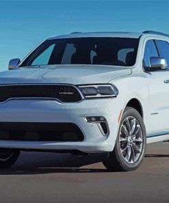 White Durango paint by numbers