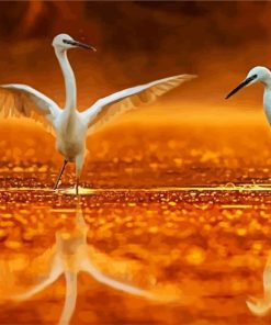 White Egrets paint by numbers
