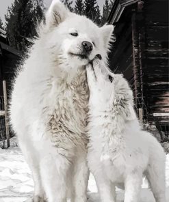 White Samoyeds paint by number