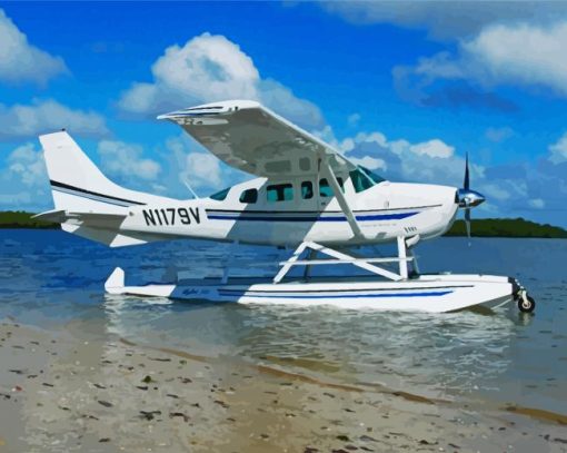 White Seaplane paint by numbers