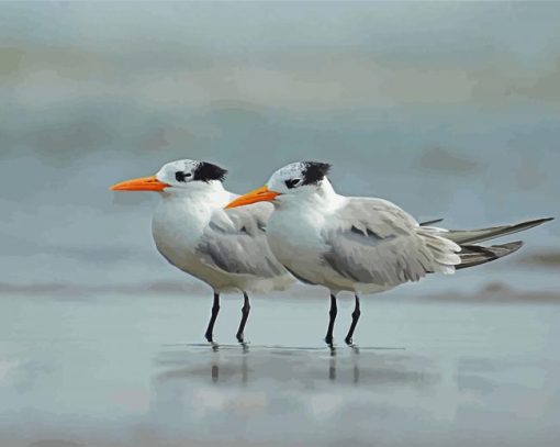 White Terns paint by number