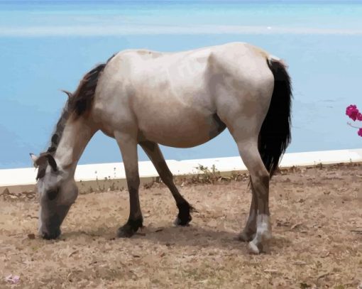 White Brumby Horse Animal paint by number