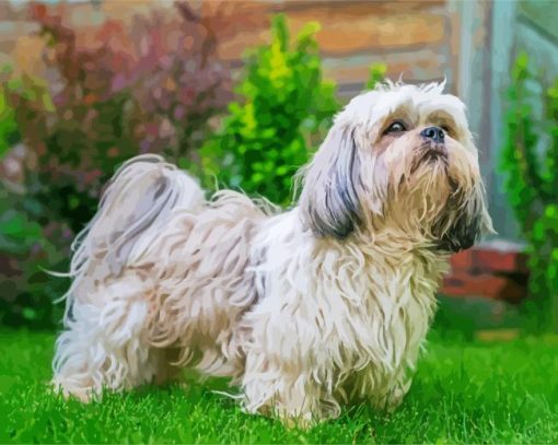 White Shih Tzu paint by number