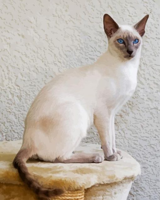 White Siamese paint by number