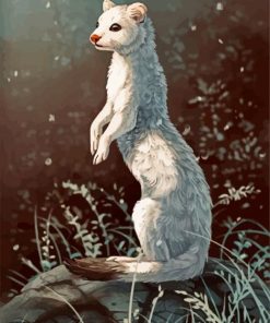 White Stoat paint by number