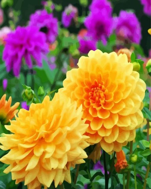 Yellow Dahlia Flowers paint by number