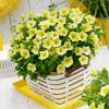 Yellow Petunia paint by numbers