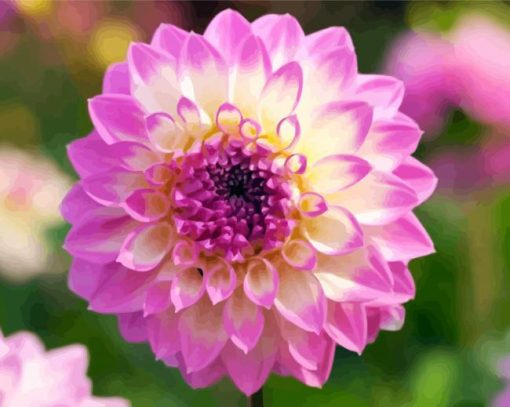 Yellow Purple Dahlia paint by number