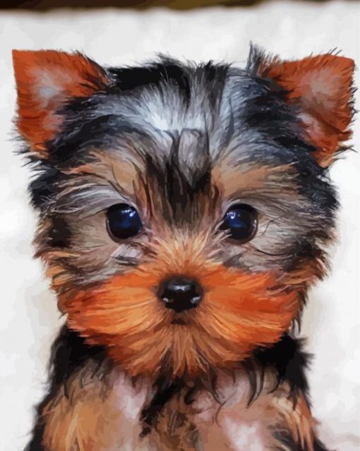 Yorkies Tea Cup paint by number