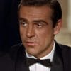 Young Sean Connery Actor paint by number