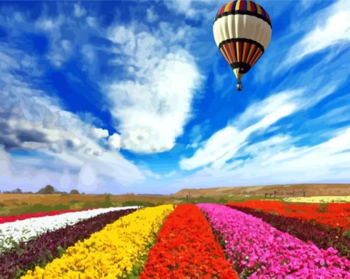Air Balloon Over Colorful Flowers Field paint by number