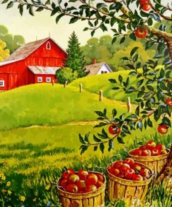 Apples Orchard paint by number