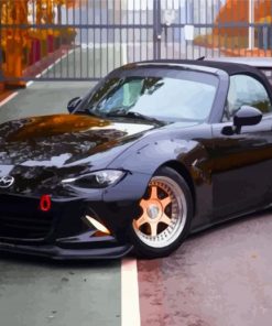 Black Mazda Mx5 Car paint by number