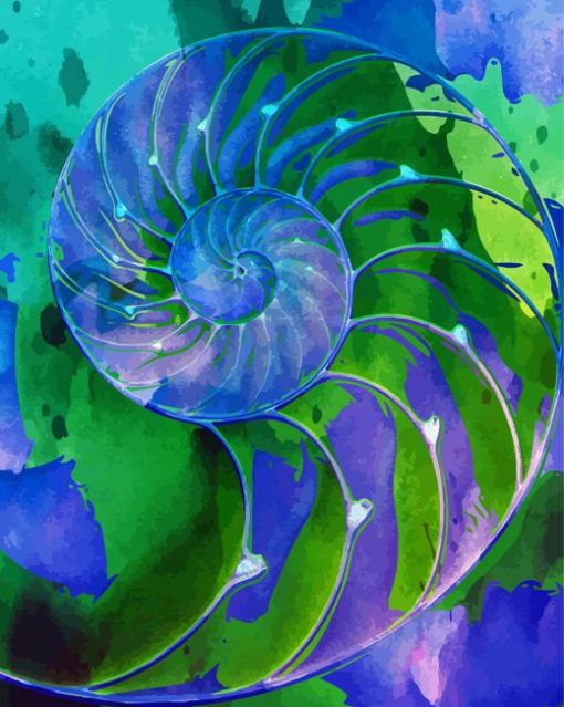 Blue And Green Nautilus Shell paint by number