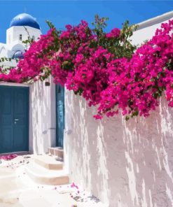 Bougainvillea Greece paint by number