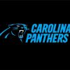 Carolina Panthers paint by number
