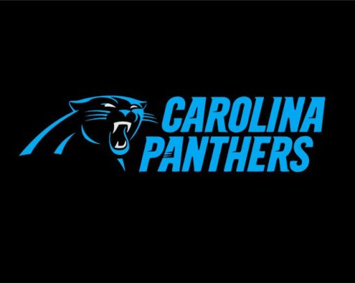 Carolina Panthers paint by number