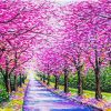 Cherry Blossom Path paint by number