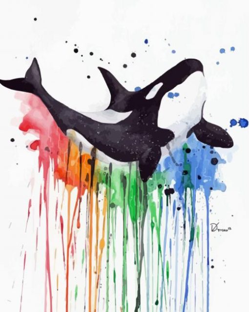 Colors Splatter Orca paint by number