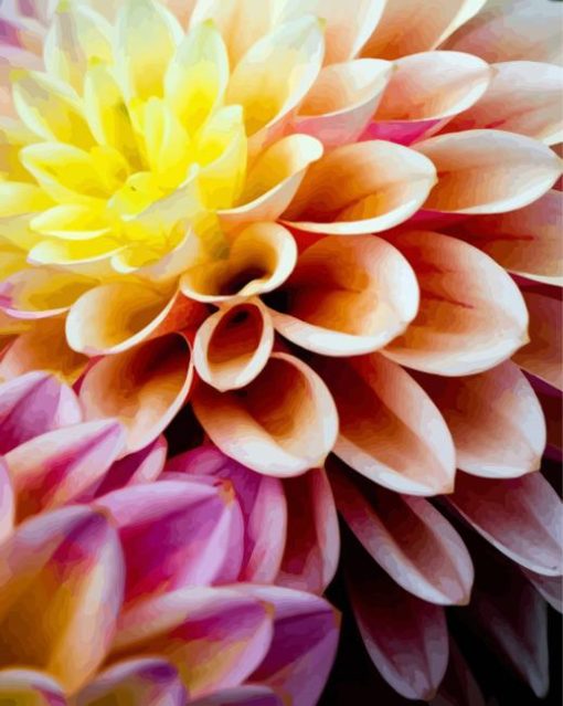 Dahlia Flower paint by numbers