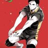 Daichi Sawamura A Playing Volleyball paint by number