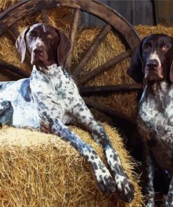 English Coonhound Dogs paint by number