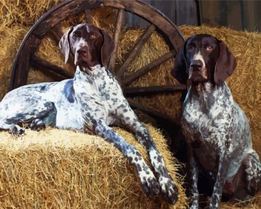 English Coonhound Dogs paint by number