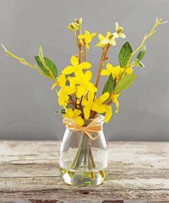Forsythia Glass Vase paint by number