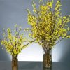 Forsythia Glass Vases paint by number
