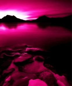 Fuchsia Landscape Silhouette paint by numbers