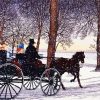Horse Carriage In Snow paint by numbers