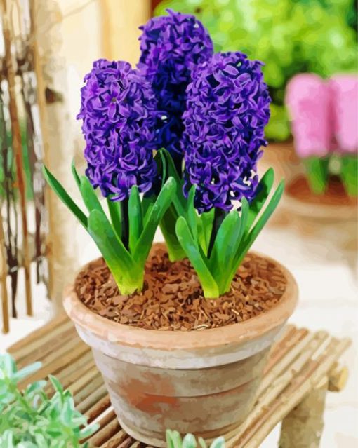 Hyacinth paint by numbers