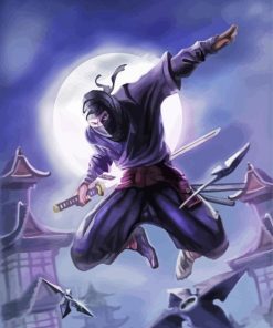 Japanese Ninja Assassin paint by number