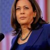 Kamala Harris Vice President Of The Usa paint by number