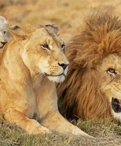 Lion Family paint by numbers