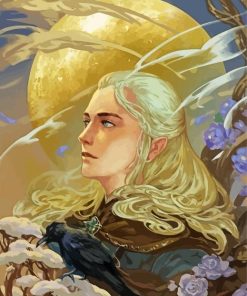 Lord Of The Rings Legolas Elf paint by number