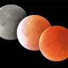 Lunar Eclipse paint by number