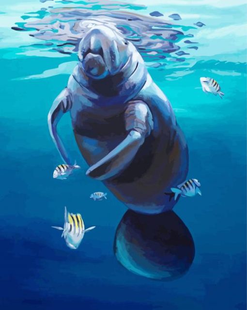 Manatee And Fish paint by number