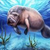 Manatees Animal paint by number