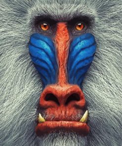 Mandrill Monkey paint by number