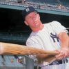 Mickey Mantle paint by number