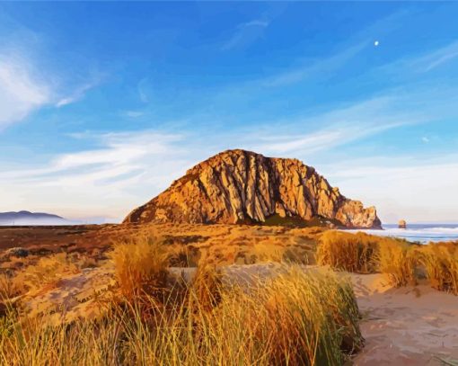 Morro Bay State Park paint by numbers