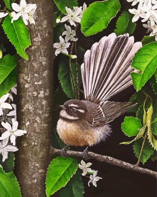 New Zealand Fantail Bird paint by number