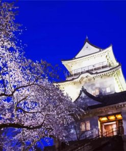 Odawara Castle Cherry Blossom paint by number