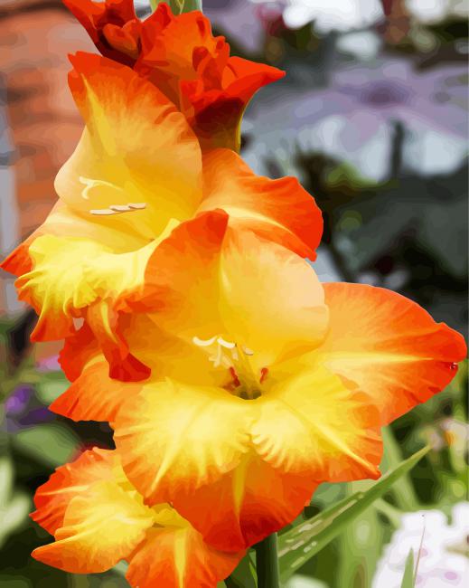 Orange And Yellow Gladiola paint by number
