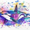 Orca Art paint by number