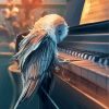 Owl Playing Piano Paint by number